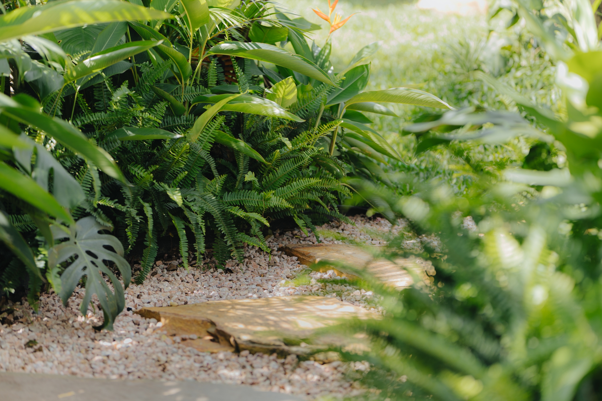 Thi công lối đi tại LeeHa Cottage