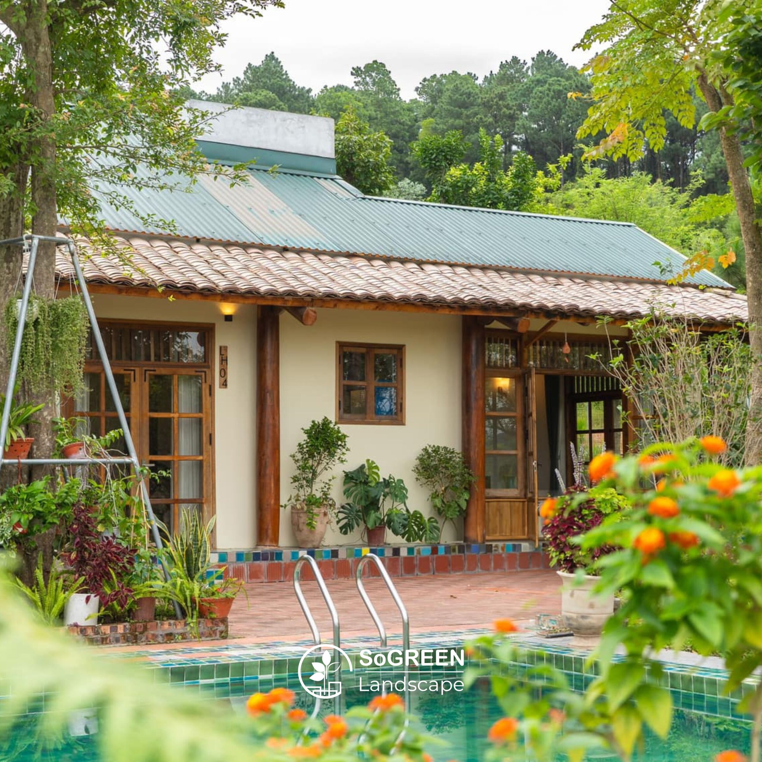 Bố trí cây cảnh xung quanh nhà