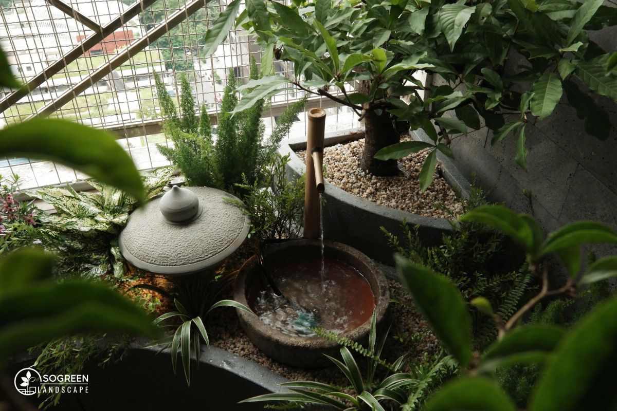 Tiểu Cảnh Phong Cách Sen