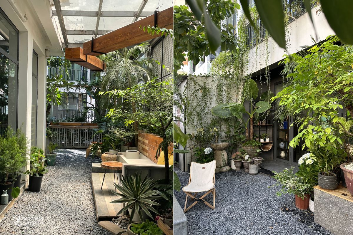 Hoàn thành bàn giao chăm sóc cây xanh quán cà phê