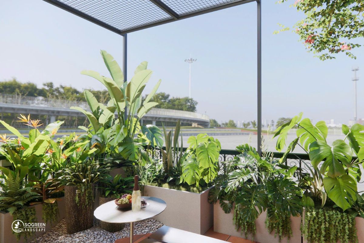 Sắp Xếp Cây Cảnh Trên Ban Công Hợp Lý