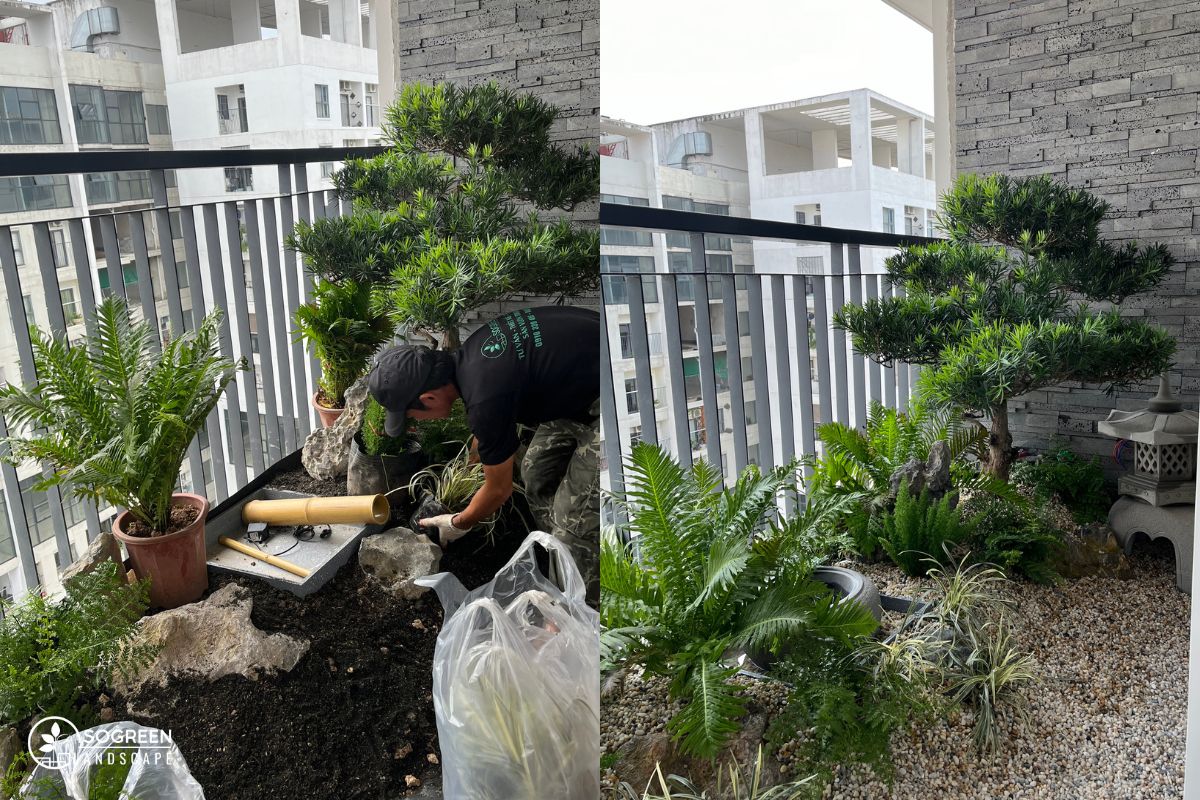 Quy trình thi công tiểu cảnh trong nhà