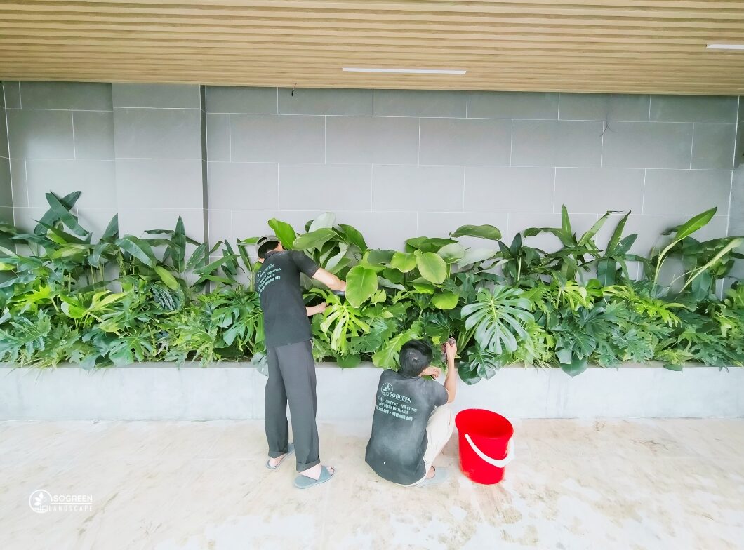 Quy trình dịch vụ chăm sóc cây xanh sân vườn