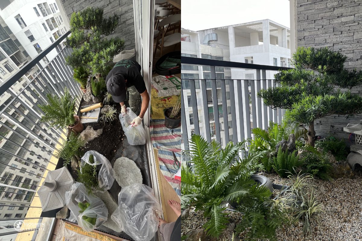 Hạng mục dịch vụ chăm sóc cây xanh