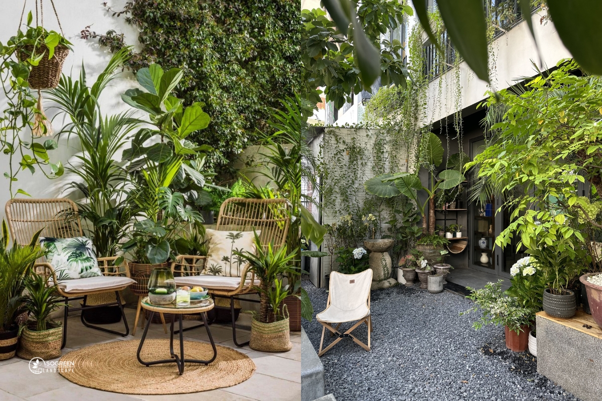 Báo giá dịch vụ chăm sóc cây xanh cảnh quan