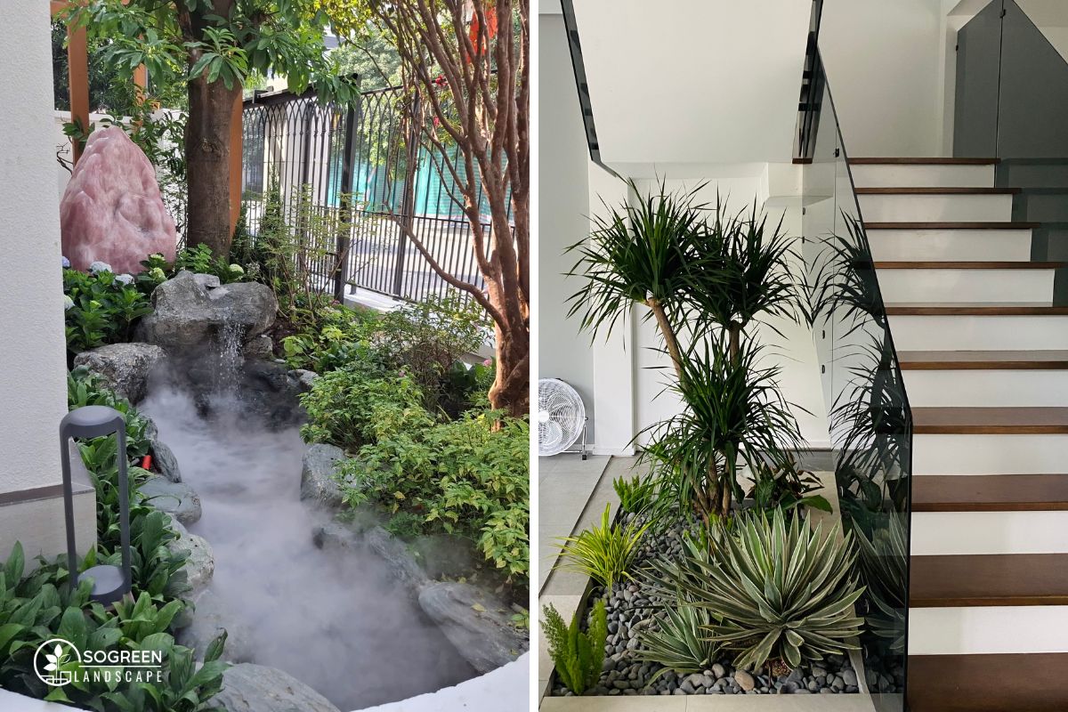 Phân Biệt Tiểu Cảnh Trong Nhà Và Ngoài trời 