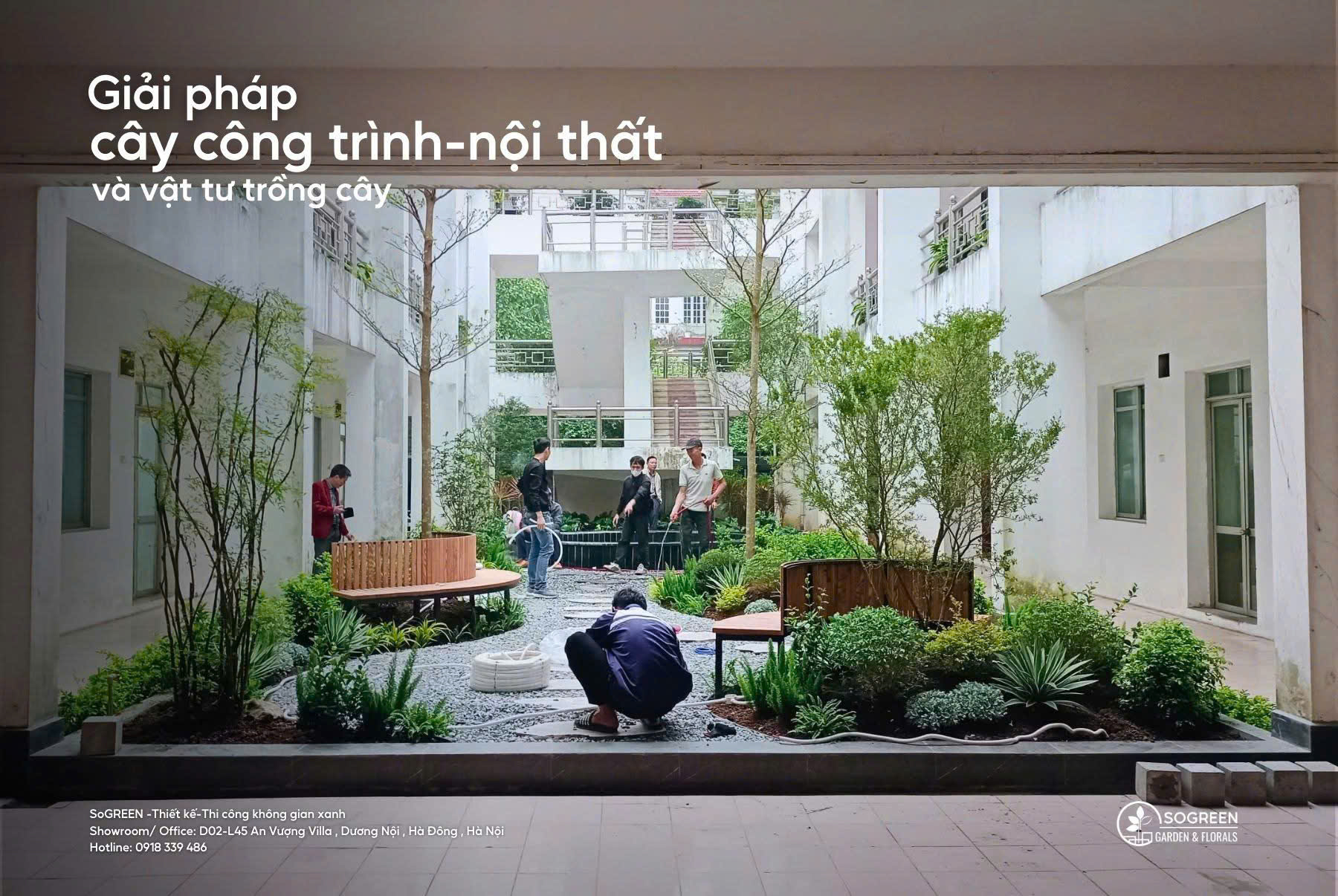 Giải pháp cây công trình, nội thất và vật tư trồng cây