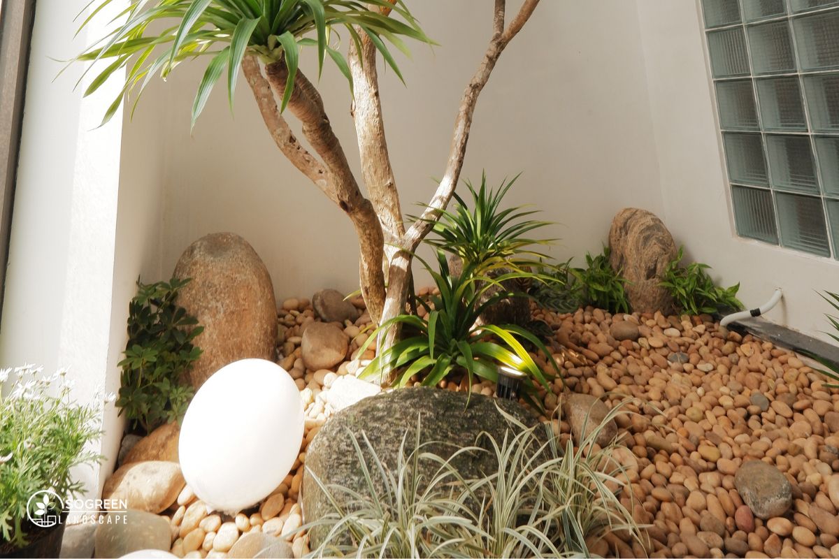 Tiểu Cảnh Hiện Đại Tối Giản