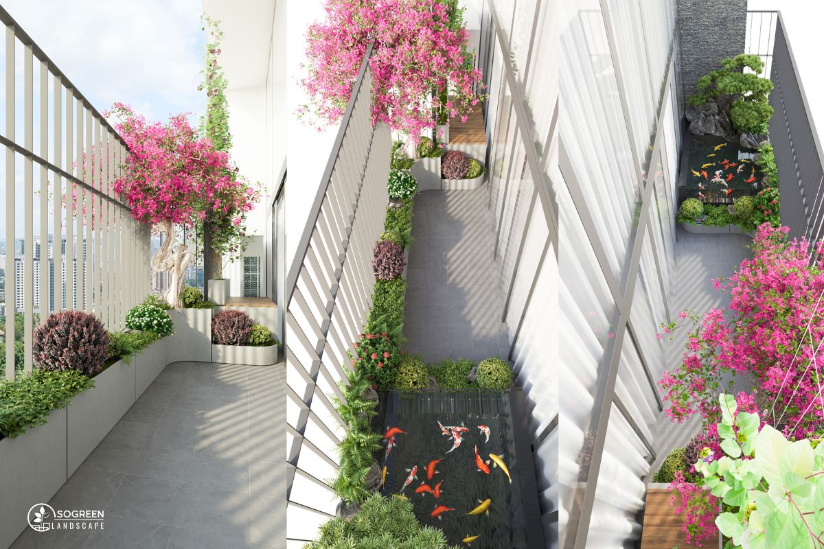 Hoa Giấy Sân Vườn Ban Công