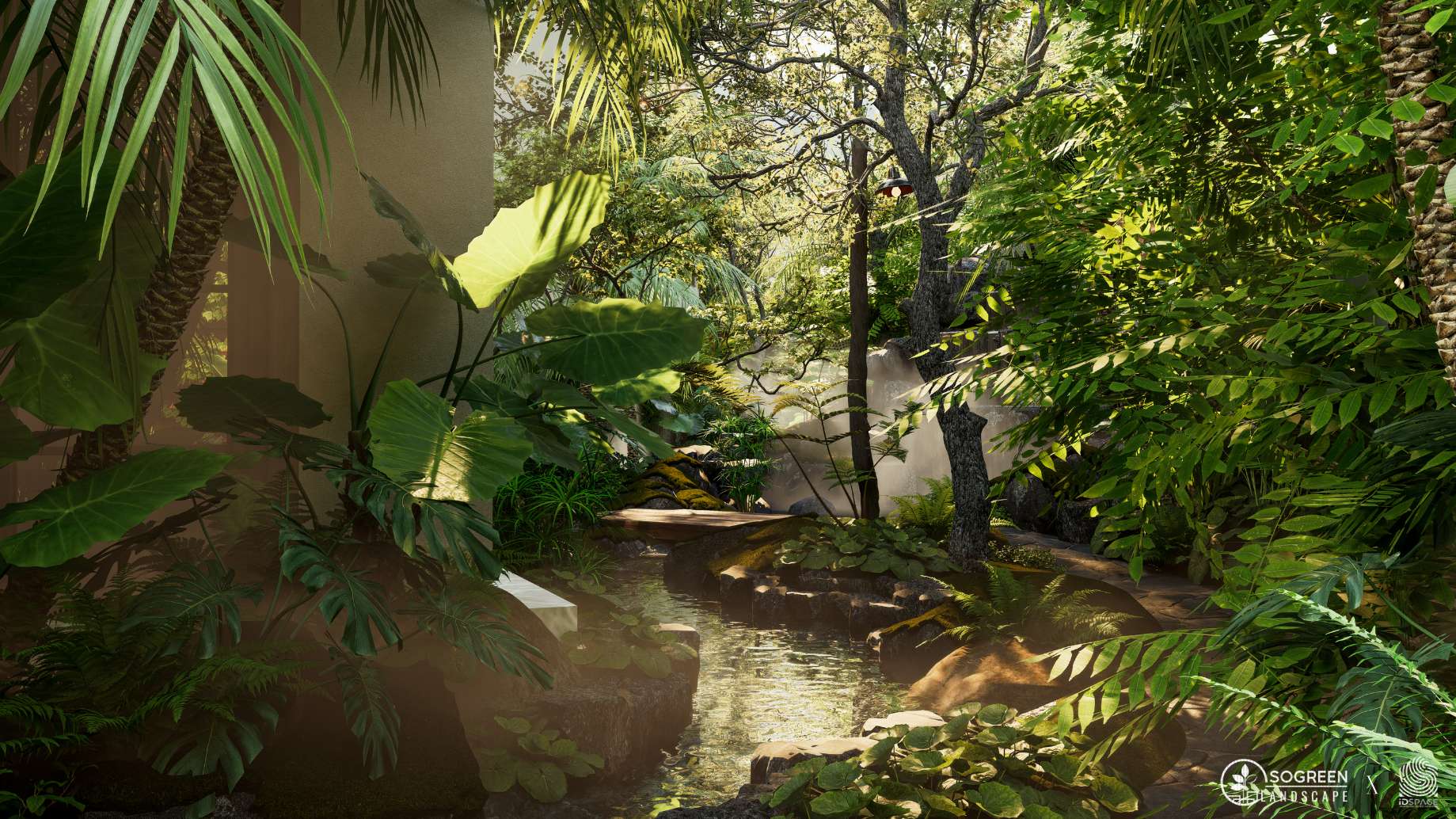 Rừng nhiệt đới thu nhỏ tại Alma An Retreat