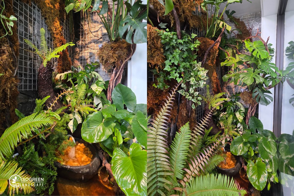 Tiểu Cảnh Nhiệt Đới