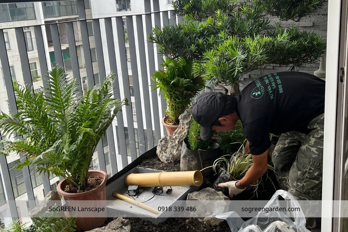 Đơn Vị Thiết Kế & Thi Công Tiểu Cảnh Cầu Thang Đẹp SoGREEN