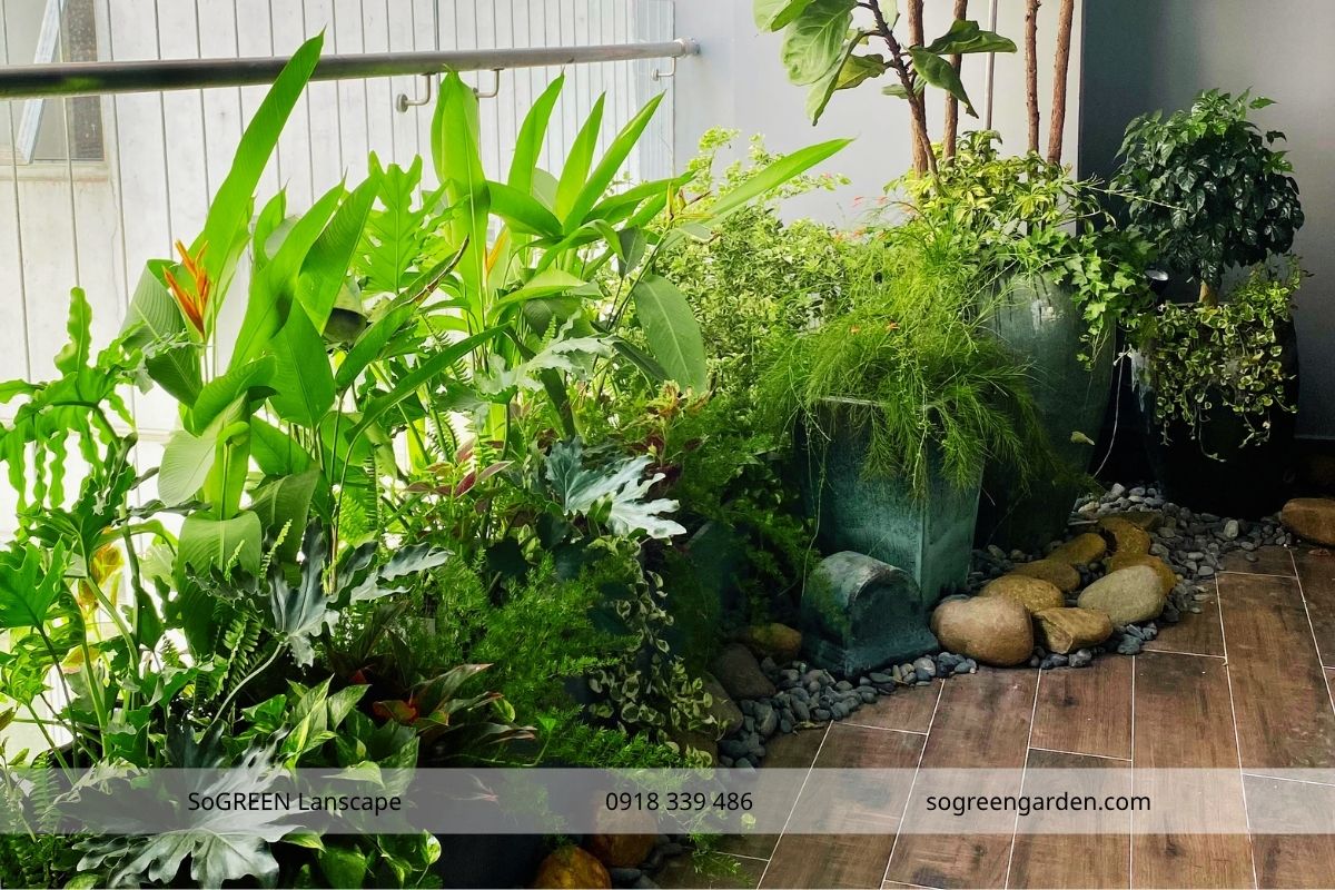 Mẫu ban công nhiều cây xanh phong cách tropical