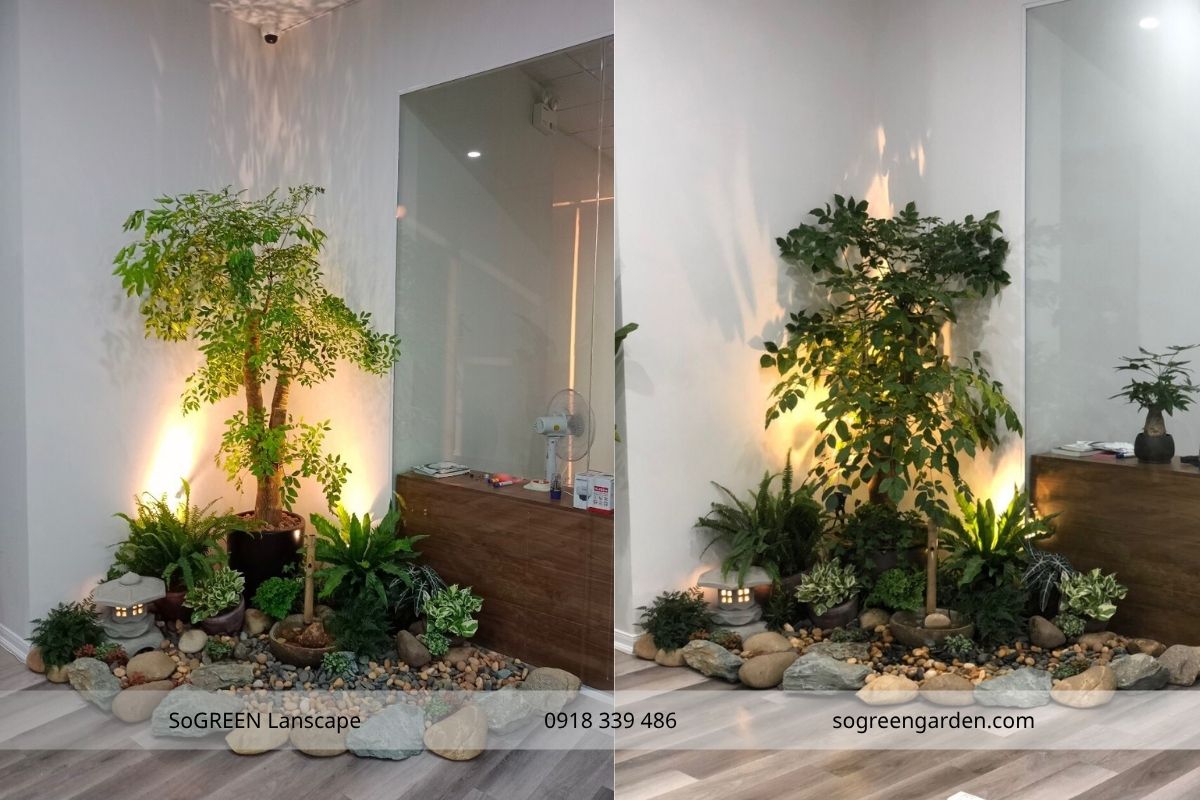 Cách Bố Trí Tiểu Cảnh Giếng Trời Đẹp & Hợp Lý