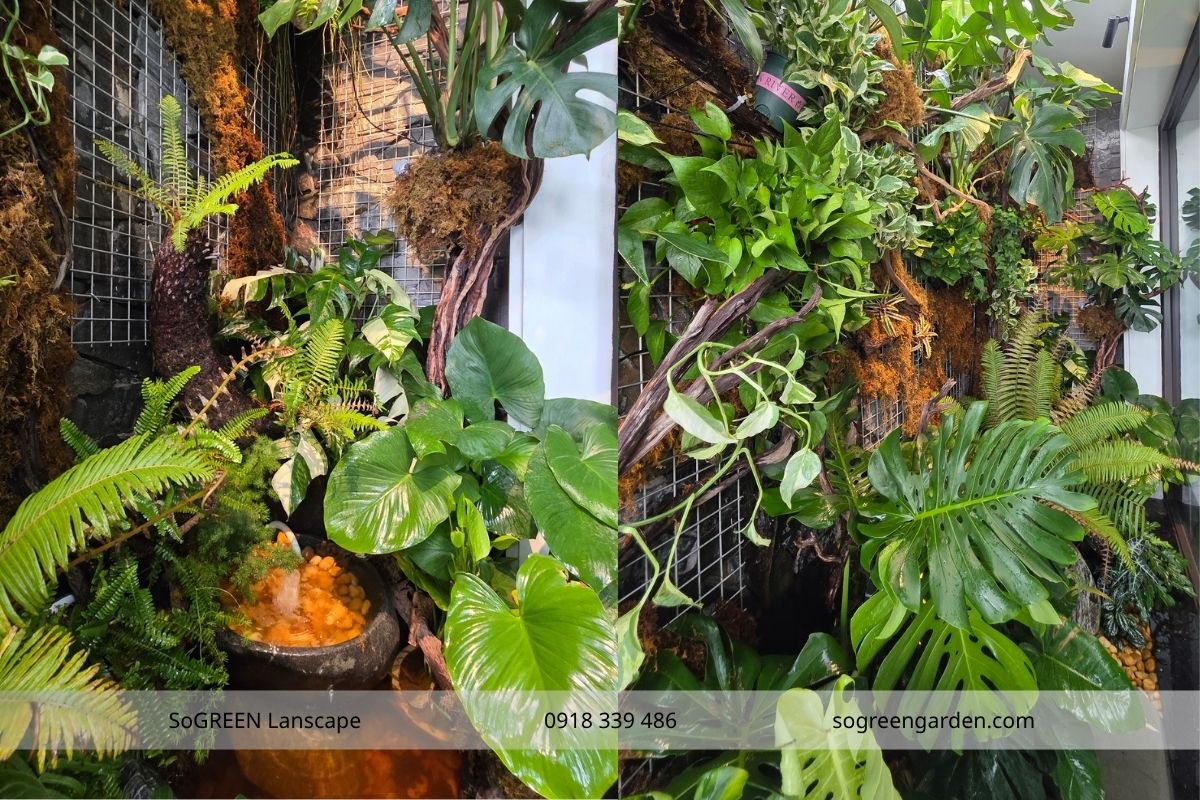Mẫu ban công chung cư nhiều cây xanh tự nhiên Tropical