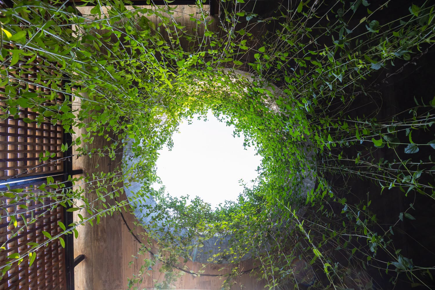 TIÊU ĐỀ