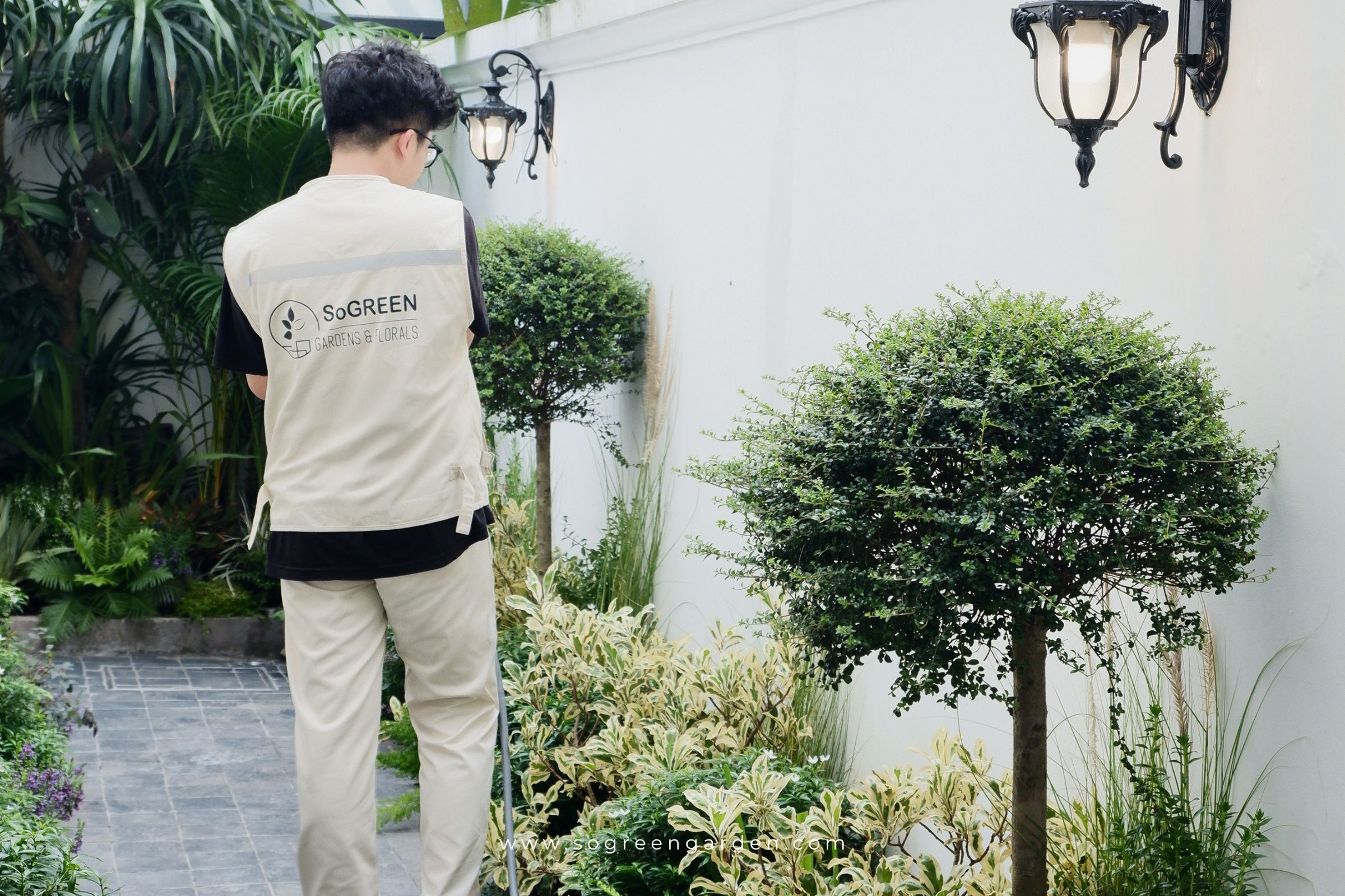 Dịch vụ chăm sóc cây xanh tại Hà Nội của SoGREEN.