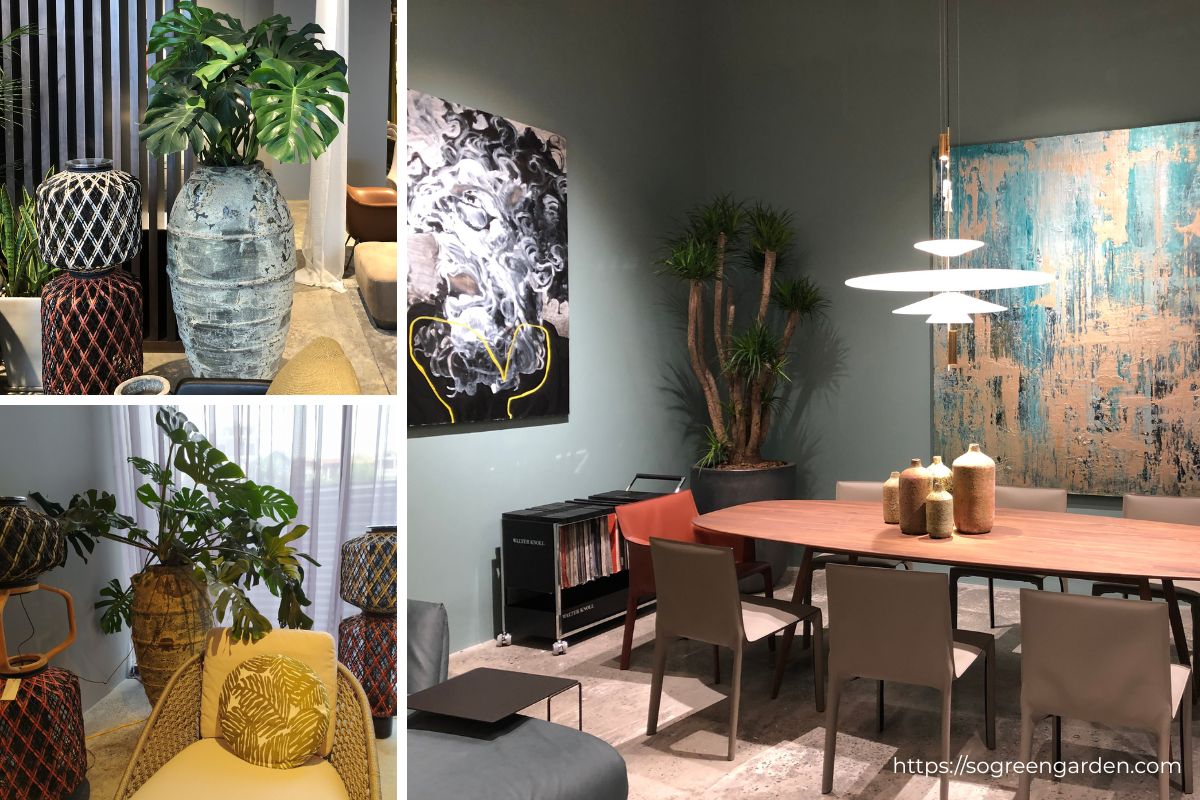 Hạng mục cây xanh SoGREEN thi công tại showroom Nhà Xinh Lương Yên