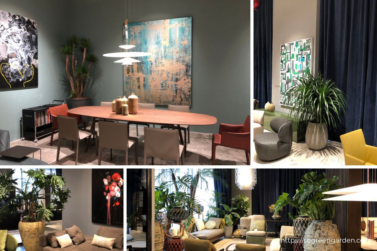 SoGREEN thi công cây xanh cho showroom Nhà Xinh Lương Yên