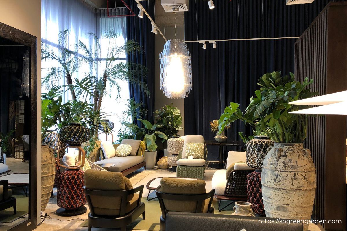 Cây xanh kết hợp với sofa và bàn trà tại showroom Nhà Xinh