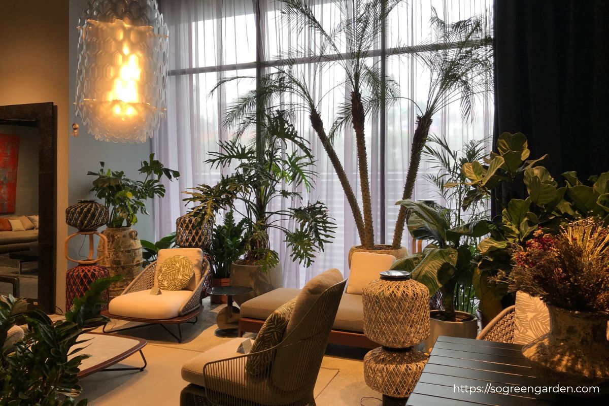 SoGREEN thi công cây xanh cho showroom Nhà Xinh Lương Yên