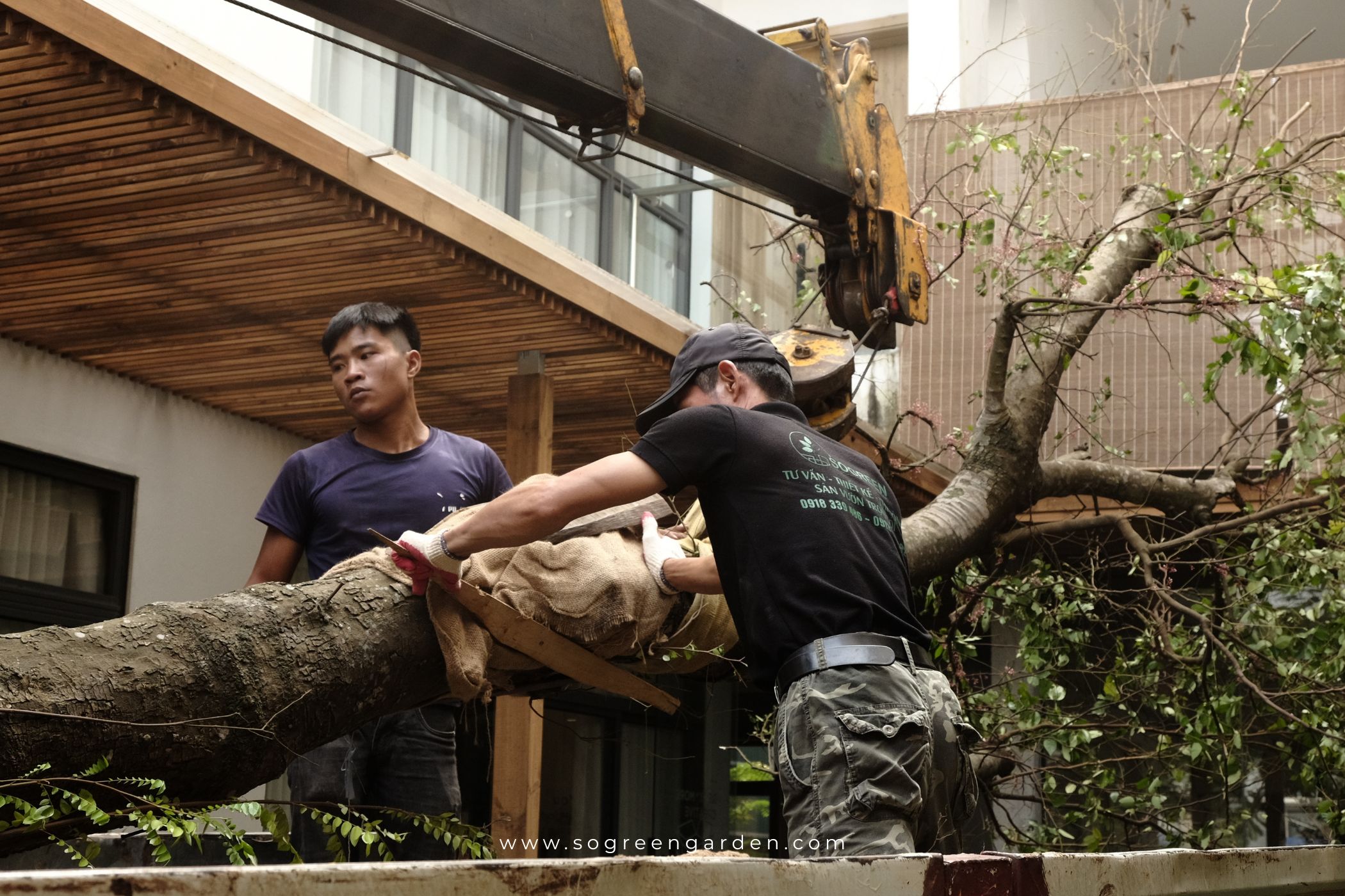 Các hạng mục thi công sân vườn gồm cây xanh, lối đi và vật liệu cảnh quan.