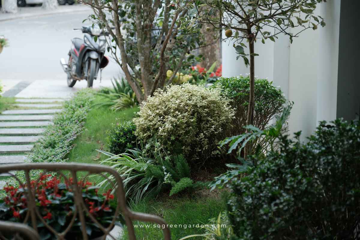 Thiết kế sân vườn đẹp diện tích nhỏ với giải pháp tiết kiệm chi phí.